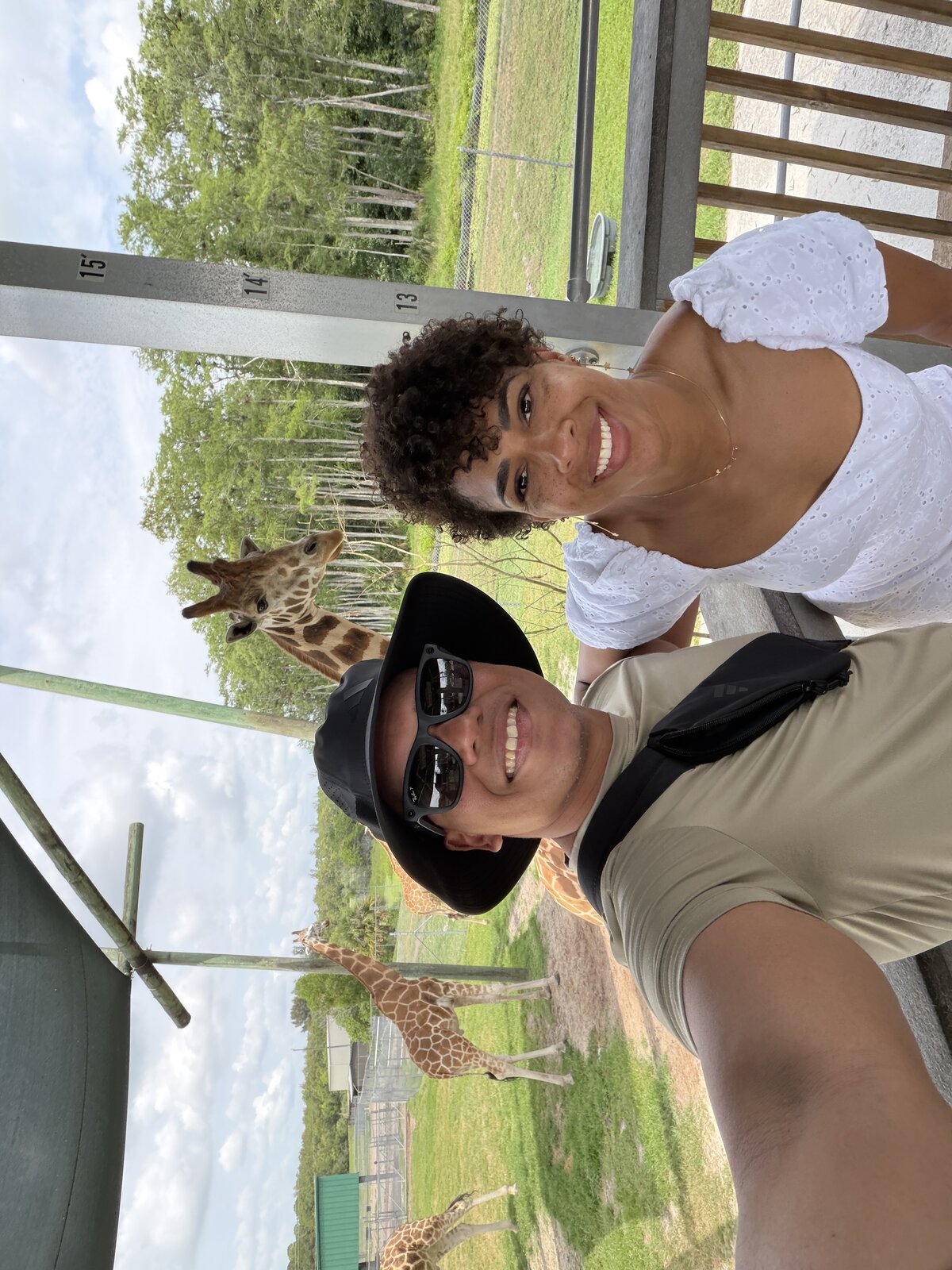 Casal alimentando girafas no Lion Country Safari