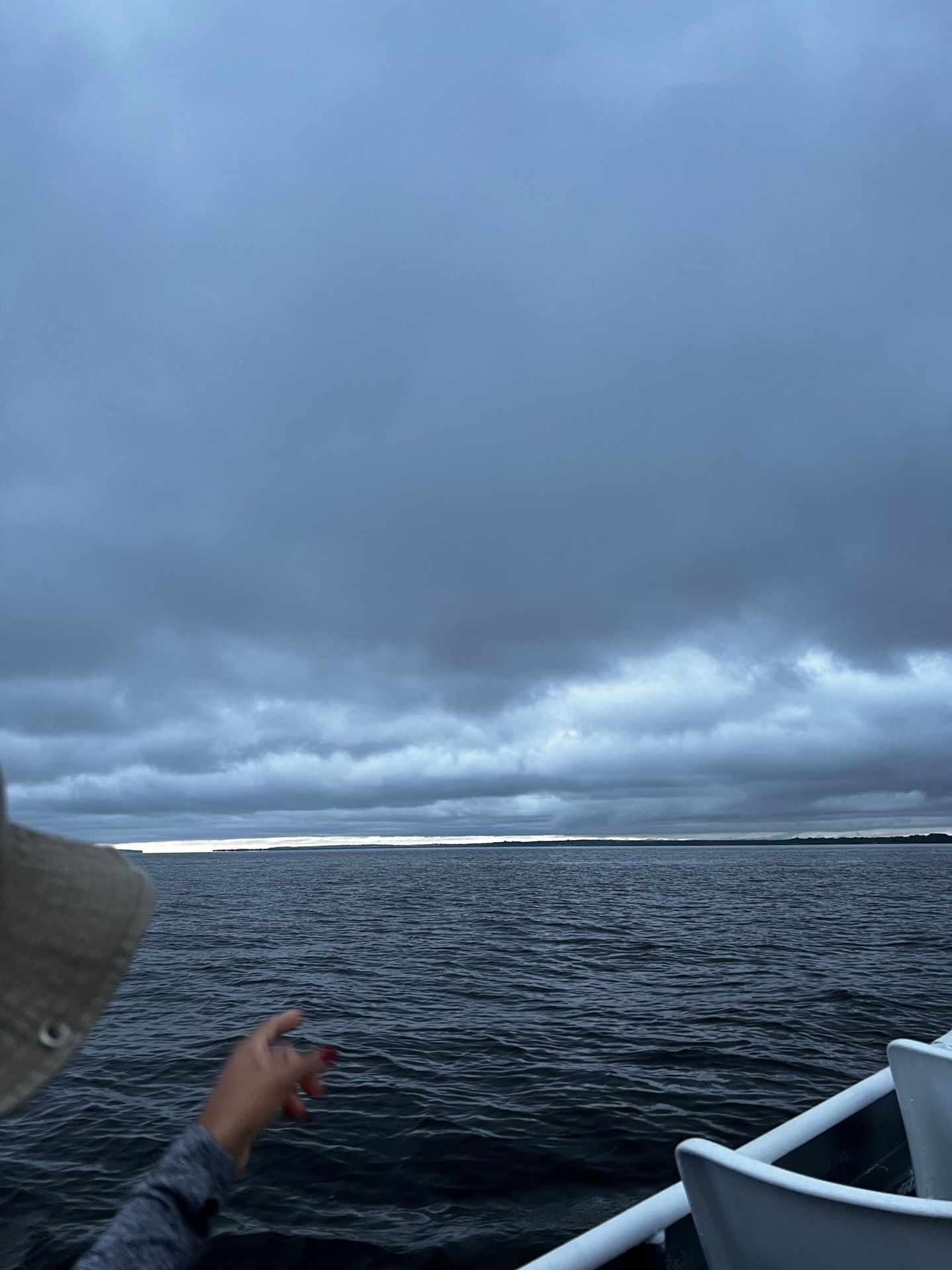 Rio Negro visto do barco, Amazonas
