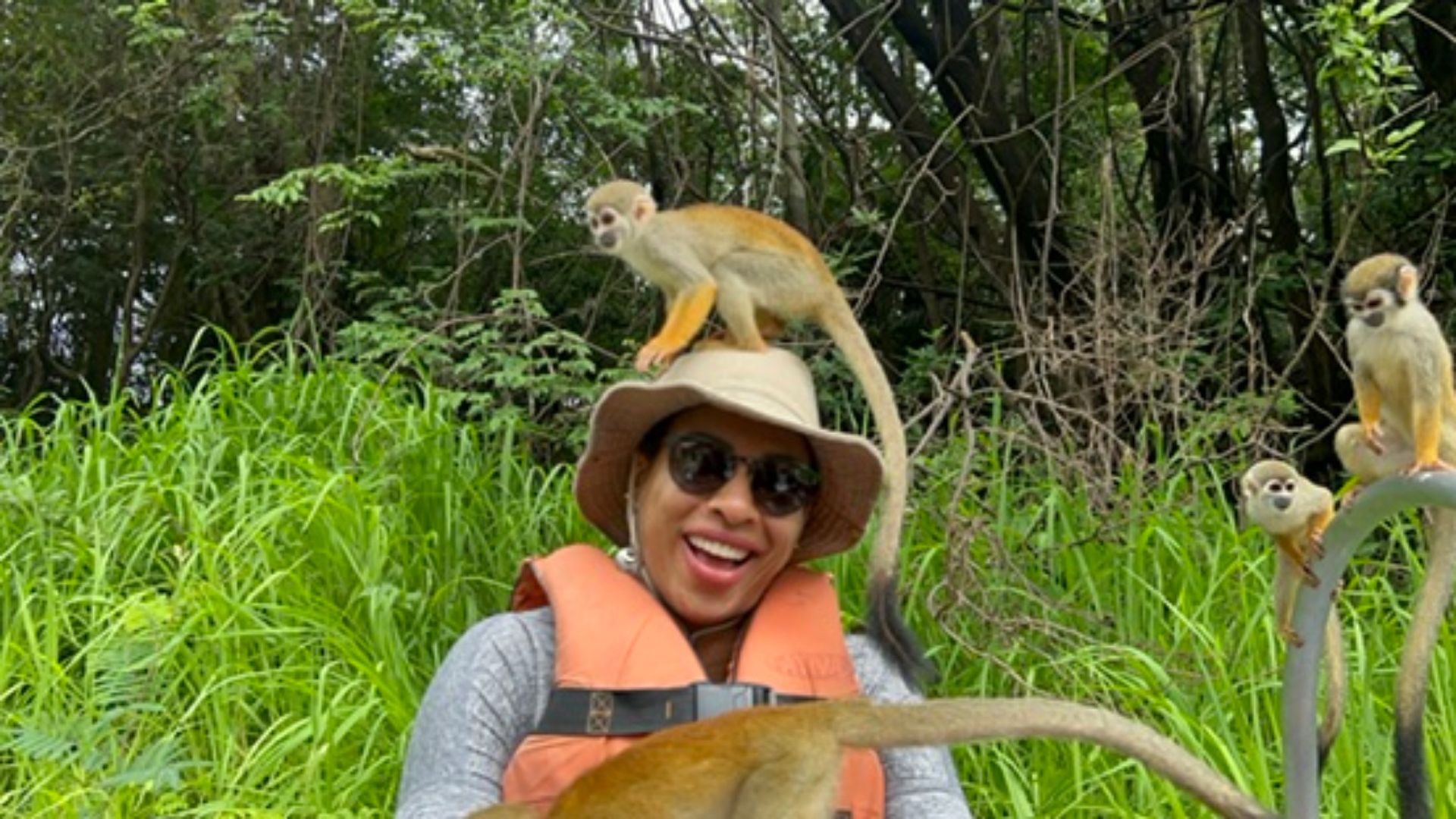 Macaco comendo em Iranduba, Amazonas