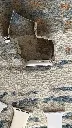 IMG_0337.webp